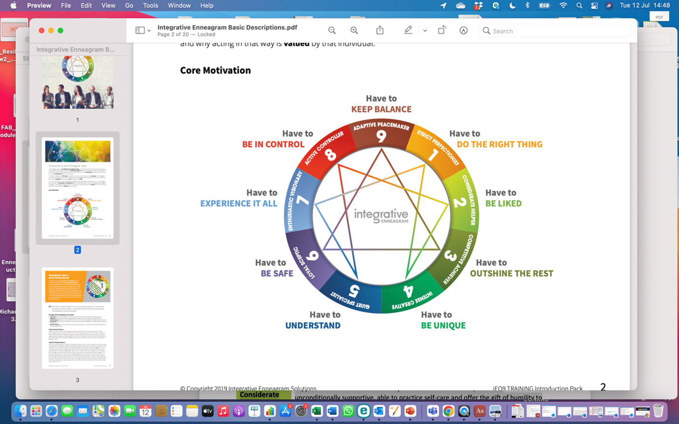 Fab Consulting Enneagram